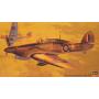 HASEGAWA 09066  [1:48]  Hurricane Mk.IIB