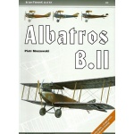 AEROPHOTOGALLERY 01  Albatros B.II