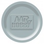 HOBBY COLOR H307 Gray FS36320