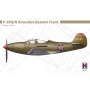 HOBBY2000 48046 [1:48]  P-39Q/N  Airacobra. Eastern front