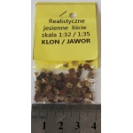 Kliknij aby zobaczyć zdjęcie w oryginalnej wielkości