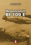 Big Yellow Nr.8  Messerschmitt Bf 109E