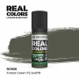 RC900 Forest Green FS 34079 