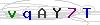 weryfikator