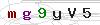 weryfikator